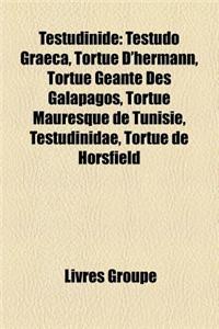 Testudinide: Testudo Graeca, Tortue D'Hermann, Tortue Geante Des Galapagos, Tortue Mauresque de Tunisie, Testudinidae, Tortue de Ho