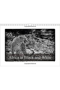 Africa in Black and White 2017