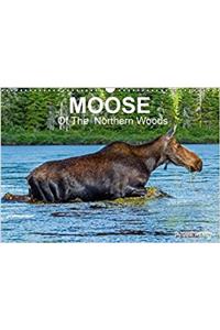 Moose of the Northern Woods 2018