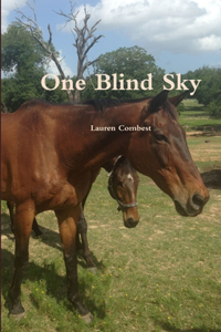 One Blind Sky