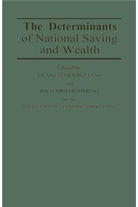 The Determinants of National Saving and Wealth