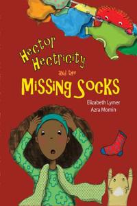 Hector Hectricity and the Missing Socks