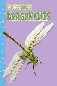 Fast Facts About Dragonflies