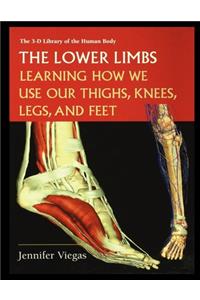 Lower Limbs