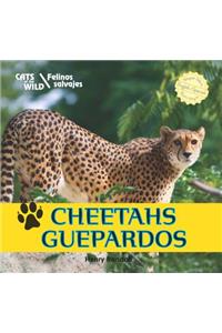 Cheetahs/Guepardos