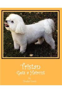 Tristan Gets a Haircut