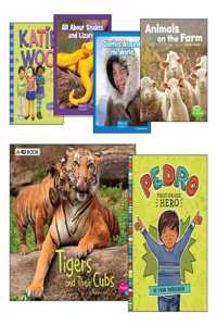 Grade 1 Guided Reading Level Collection (Includes 16 Titles)