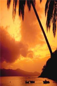 Journal Palm Tree Over Water