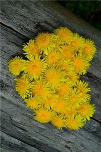 Dandelion Flower Heart Journal