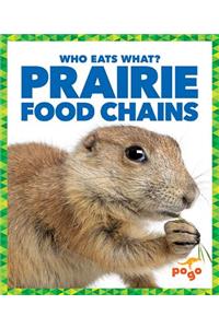 Prairie Food Chains