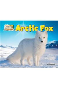 Arctic Fox