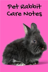 Pet Rabbit Care Notes
