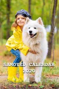 Samoyed Calendar 2020