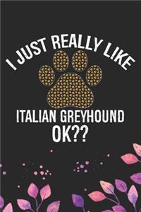 I Just Really Like Italian Greyhound Ok?