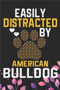 Easily Distracted by American Bulldog