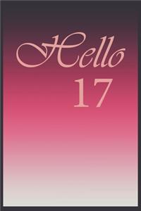 Hello 17 Journal, Notebook To Do Lists, Notepad and daily planner, Great Birthday Gift, 17 Years Old