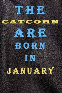 The Catcorn Are Born in January