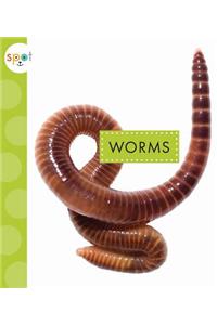 Worms