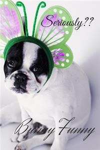 Funny Dog
