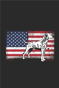 USA Dalmatian