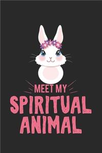 Meet my spiritual animal bunnies