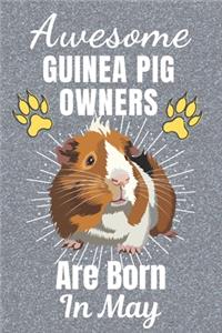 Awesome Guinea Pig Owners Are Born In May