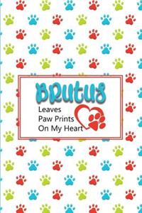 Brutus Leaves Paw Prints on My Heart
