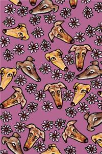 Greyhound Snoots