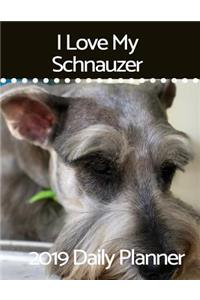 I Love My Schnauzer