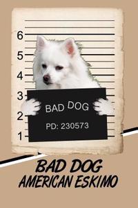 Bad Dog American Eskimo