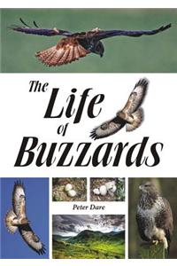 The Life of Buzzards