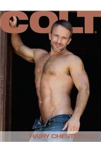 Hairy Chested Men 2020 Calendar