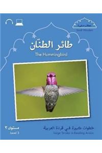 Small Wonders: The Hummingbird