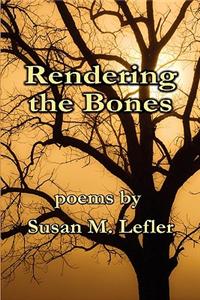 Rendering the Bones