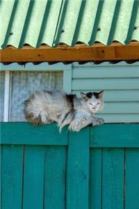 Cat Relaxing on a Green Fence Journal