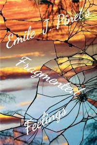 Emile J. Pinet's Fragmented Feelings