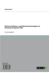 Effizienz-Suffizienz- Und Substitutionsstrategien Im Klimaschutz (Speziell Co2)