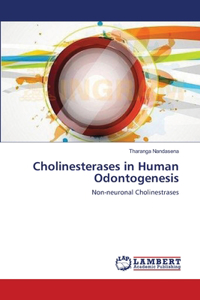 Cholinesterases in Human Odontogenesis