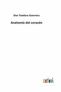 Anatomía del corazón