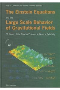 Einstein Equations and the Large Scale Behavior of Gravitational Fields