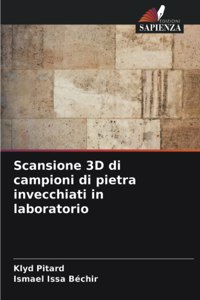 Scansione 3D di campioni di pietra invecchiati in laboratorio