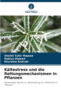 Kältestress und die Rettungsmechanismen in Pflanzen