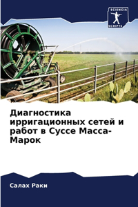 Диагностика ирригационных сетей и работ в