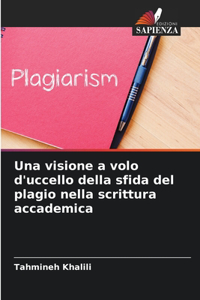 visione a volo d'uccello della sfida del plagio nella scrittura accademica