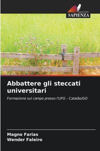 Abbattere gli steccati universitari