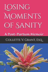 Losing Moments of Sanity