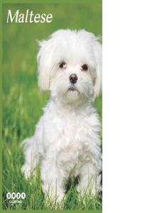 Maltese 2021 Calendar