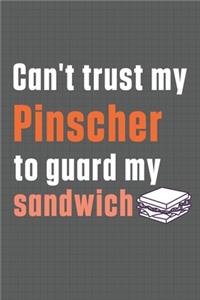 Can't trust my Pinscher to guard my sandwich