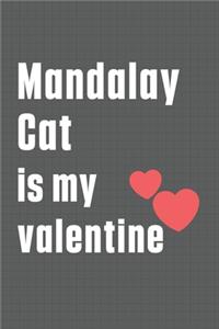 Mandalay Cat is my valentine