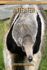 Anteater